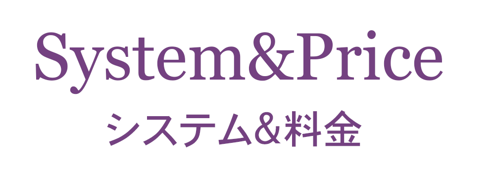 SYSTEM &PRICE